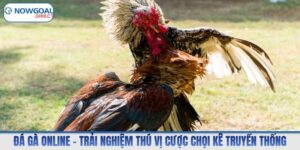 Đá gà online