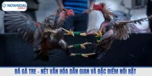 Đá gà tre